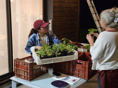 Marie, la maraîchère, prépare les légumes bio lors d'une distribution