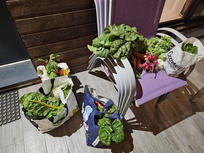 Paniers de légumes bio prêts à être emportés